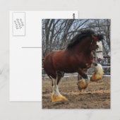 De nagelveulen van Clydesdale het lopen Briefkaart (Voorkant / Achterkant)