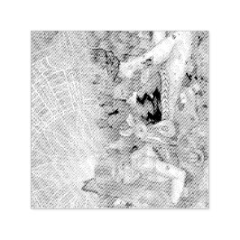 De namiddag  zelfinktende stempel