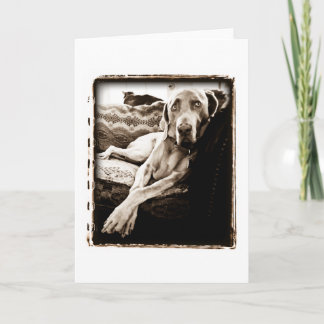 De Natie van Weimaraner: De "stoel van Ballou " Kaart