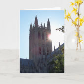 De Nationale Kathedraal van Washington bij Kaart (Gele Bloem)