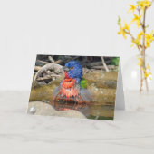 De natte Kaart van de Verf (Gele Bloem)