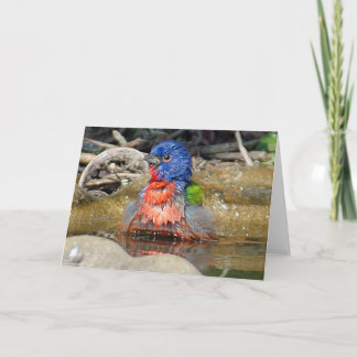 De natte Kaart van de Verf