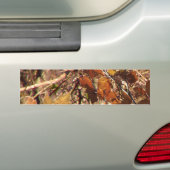 De Natuur van de Herfst van Hunter Camouflage schi Bumpersticker (Op auto)