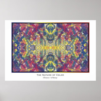 De Natuur van de Kleur Poster