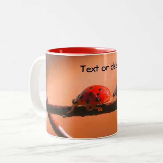 De Natuur van Ladybug Buddies wordt gepersonalisee Tweekleurige Koffiemok (Voorkant links)