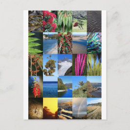 De natuur van New Zealand Kiwiana scènes Briefkaart