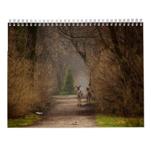 De natuurlijke Kalender van de Fotografie 2016 van