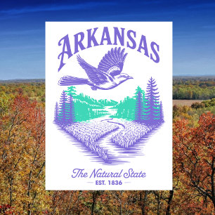 De natuurlijke staat Arkansas. 1836 Reizen Briefkaart