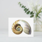 De Nautilus Shell Briefkaart (Staand voorkant)