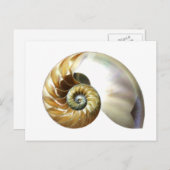 De Nautilus Shell Briefkaart (Voorkant / Achterkant)