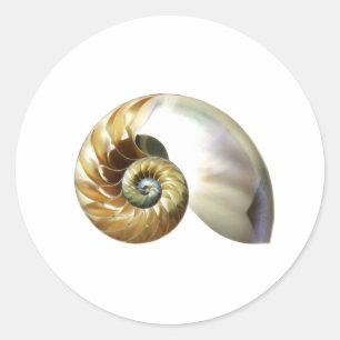 De Nautilus Shell Ronde Sticker