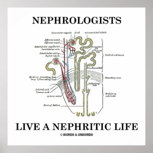 De nefrologen leven het Nefritisch Leven (Nephron) Poster