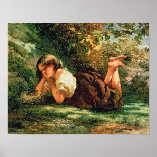 De nesten poster (Voorkant)