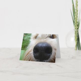 De neus weet het! kaart