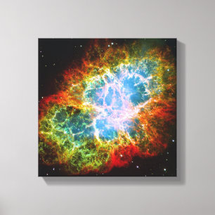 De Nevel van de krab Canvas Afdruk