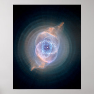 De Nevel van het Oog van katten Poster
