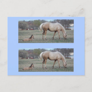 De nieuwe bookmarkers briefkaart