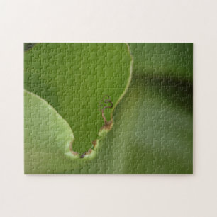 De nieuwe groene bananenbladkleurfoto opheffen legpuzzel