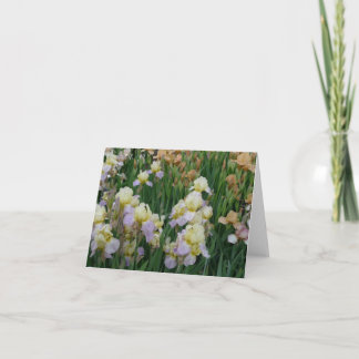 De nieuwe Iris 'Enriched van Notecard- van de Kaart
