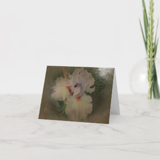 De nieuwe Iris 'Vriendschappelijke Fire van Kaart