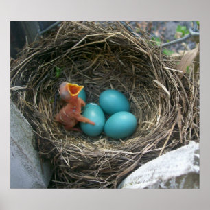 De nieuwe komst van de lente poster