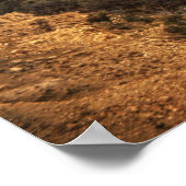 De nieuwe stad Petra Poster (Hoek)