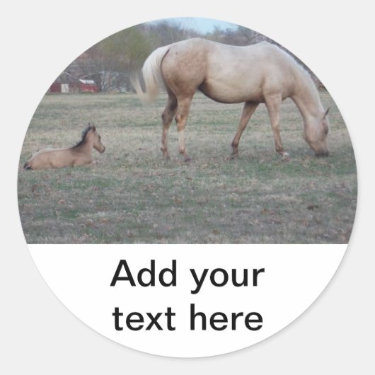 De nieuwe Stickers (Voorkant)