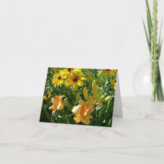De nieuwe Tuinen Notecard- Daylily 'Zella Virginia Kaart