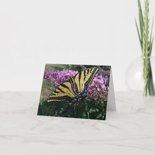 De nieuwe Tuinen Notecard- Westerne Swallowtail Kaart (Voorkant)