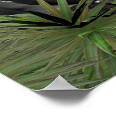 De nieuwe wereld - klein Poster (Hoek)