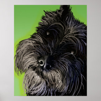 De nieuwsgierige Schnauzer Poster