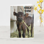 DE NIEUWSTE MOOS IS DAT JE ***50 *** KAART (Gele Bloem)