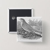 De Nightingale Vierkante Button 5,1 Cm (Voorkant /achterkant)