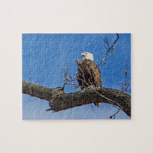 De Noble Bald Eagle Legpuzzel