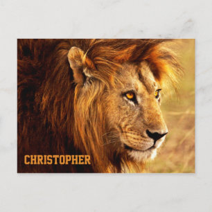 De Noble Lion-foto Briefkaart