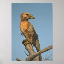 De Noble Savage print