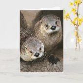 De Noordamerikaanse Otters van de Rivier Kaart (Gele Bloem)