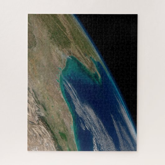 De noordelijke Golf van Mexico. Legpuzzel (Verticaal)