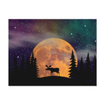 De noordelijke Noordelijke Lichten van Nachten