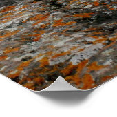 De noordkust van het meer van Superior Poster (Hoek)