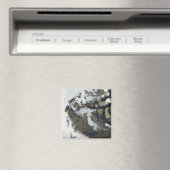 De noordwestpassage magneet (Insitu (Vaatwasser))