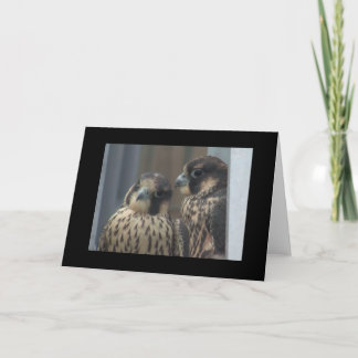 De notakaart van de valk kaart