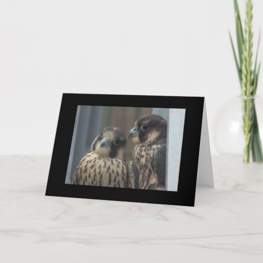 De notakaart van de valk kaart (Voorkant)