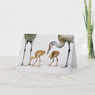 De notakaart van Famiy van de Kraan van Sandhill Kaart