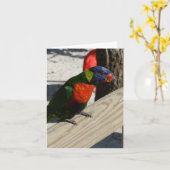 De notakaarten van Lorikeet Kaart (Gele Bloem)