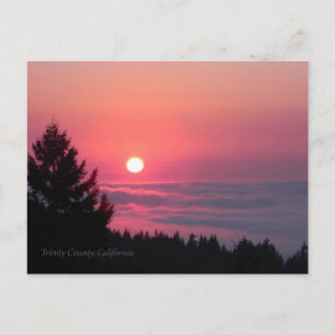 De nouveau en paix.... carte postale