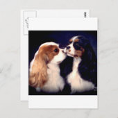 De Nova Tippy van Fleet Street Briefkaart (Voorkant / Achterkant)