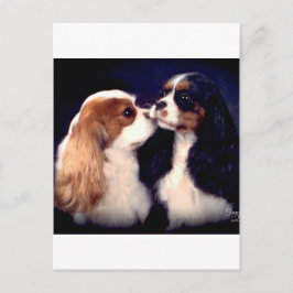 De Nova Tippy van Fleet Street Briefkaart