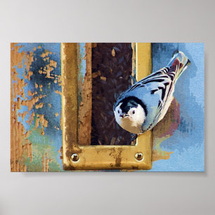 De Nuthatch Poster