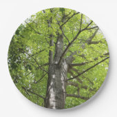 DE OAK-BOOM PAPIEREN BORDJE (Voorkant)